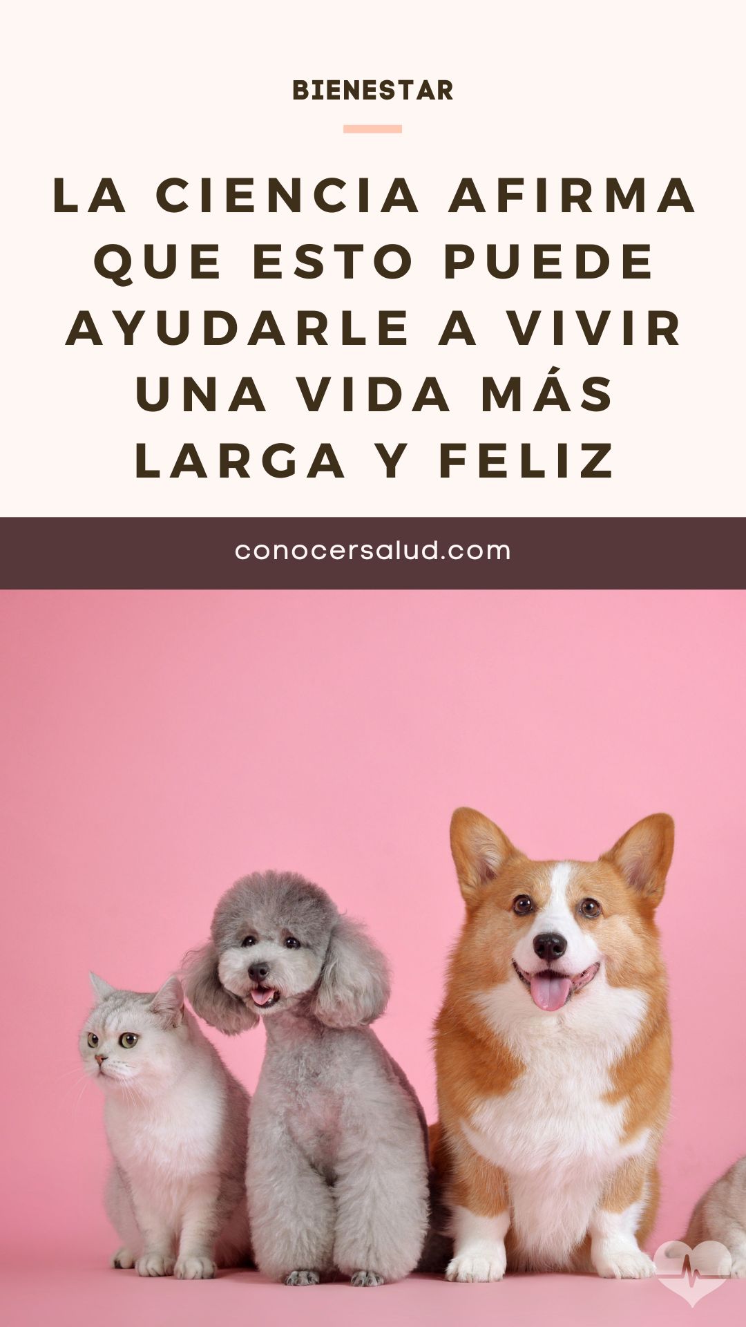 La ciencia afirma que esto puede ayudarle a vivir una vida más larga y feliz