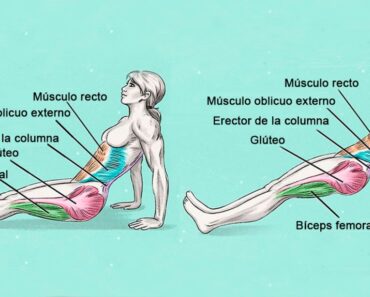 El ejercicio que quema la grasa abdominal y mejora la postura: 10 minutos al día El ejercicio que quema la grasa abdominal y mejora la postura: 10 minutos al día