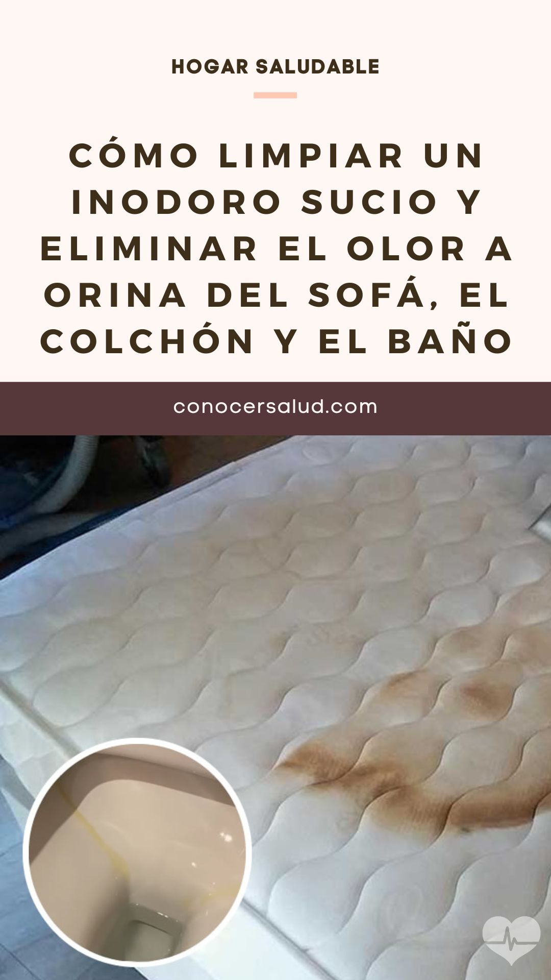 Cómo limpiar un inodoro sucio y eliminar el olor a orina del sofá, el colchón y el baño