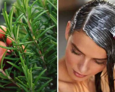 Mascarilla con romero para oscurecer el cabello y ocultar las canas Mascarilla con romero para oscurecer el cabello y ocultar las canas