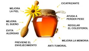 Las maravillosas propiedades terapéuticas de la miel