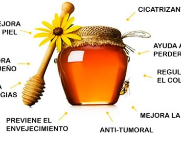 Las maravillosas propiedades terapéuticas de la miel Las maravillosas propiedades terapéuticas de la miel