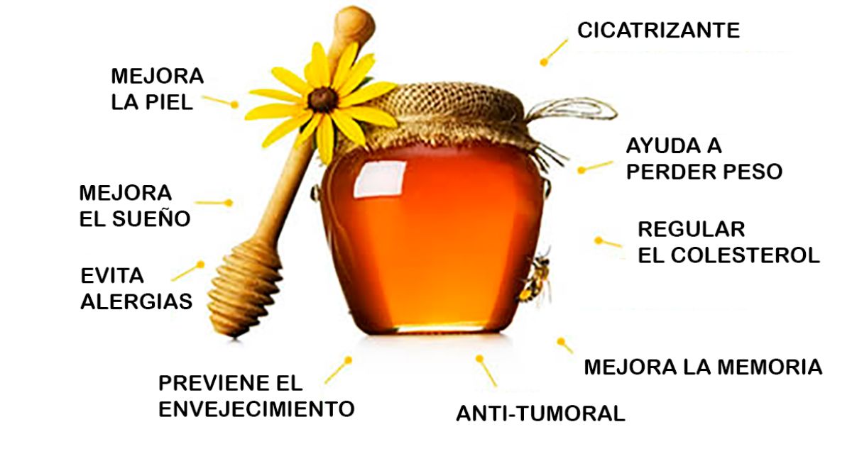 Las maravillosas propiedades terapéuticas de la miel