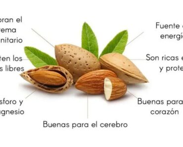 Así cambia tu cuerpo si comes 2 almendras al día Así cambia tu cuerpo si comes 2 almendras al día