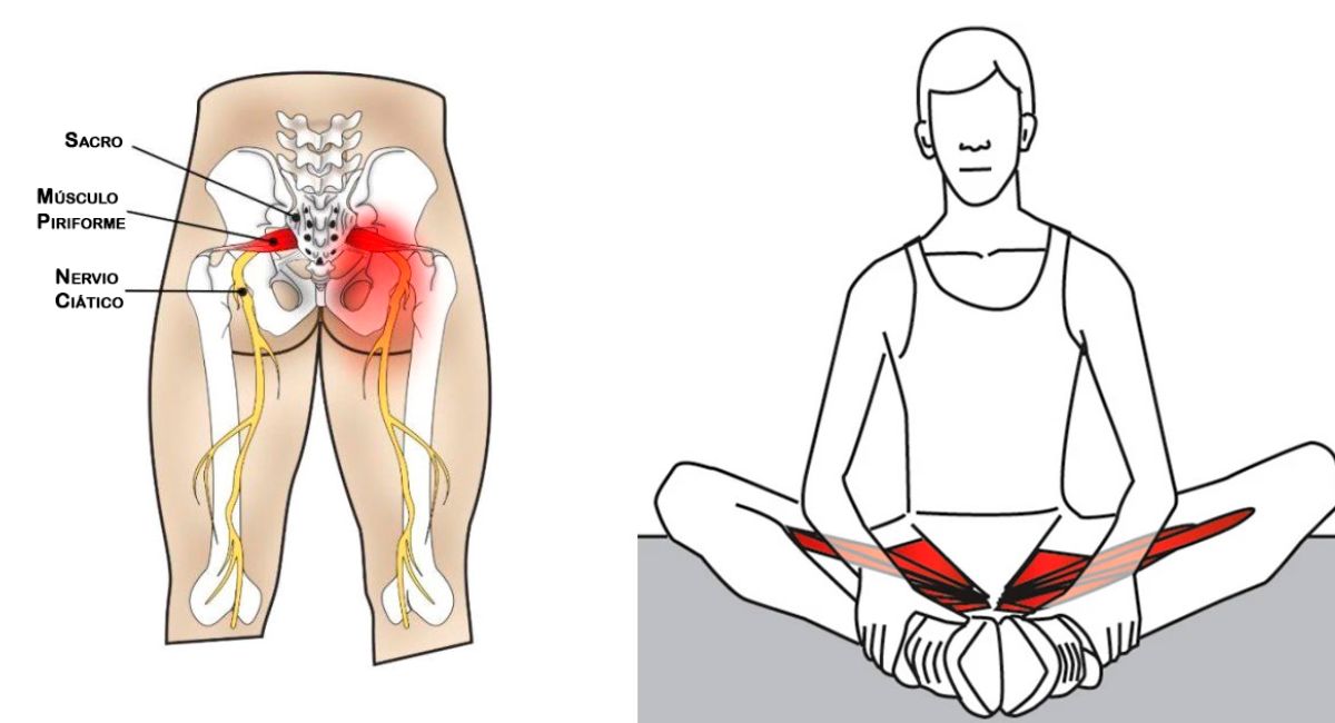 6 ejercicios para aliviar el dolor de ciática y espalda lubricando las articulaciones