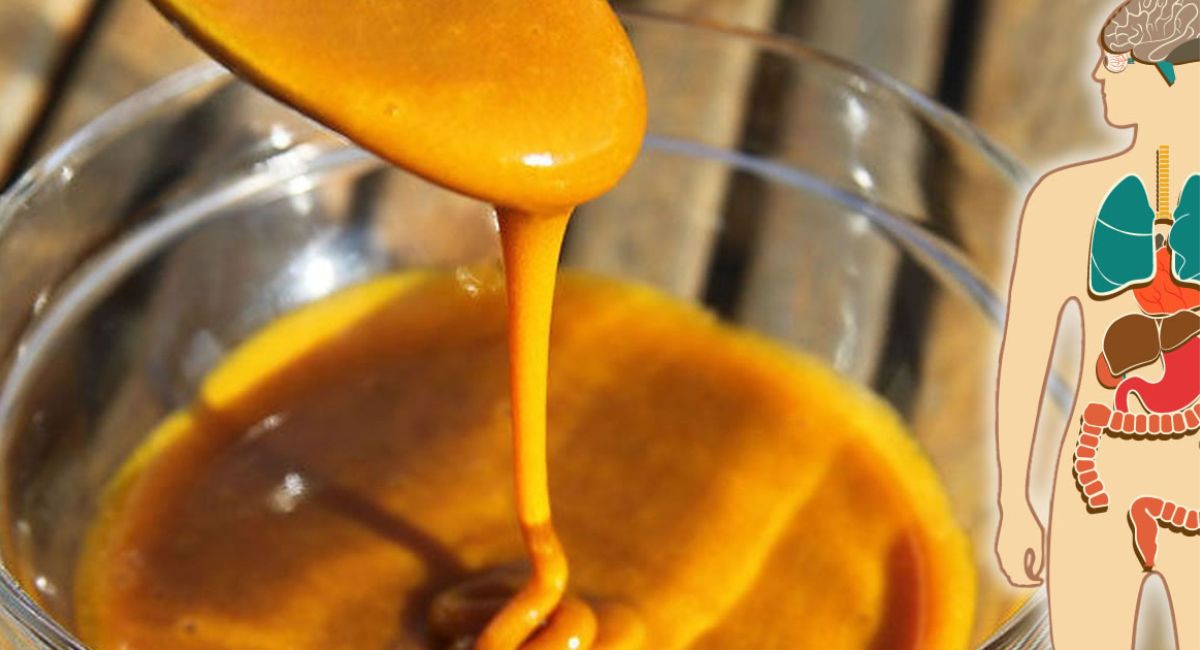 Miel y cúrcuma: cómo preparar el antibiótico natural más potente del mundo