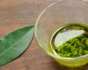 Cómo aliviar los dolores articulares, musculares y reumáticos con infusión de laurel Cómo aliviar los dolores articulares, musculares y reumáticos con infusión de laurel