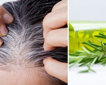 Cómo usar el romero contra las canas: prepara un tinte natural Cómo usar el romero contra las canas: prepara un tinte natural