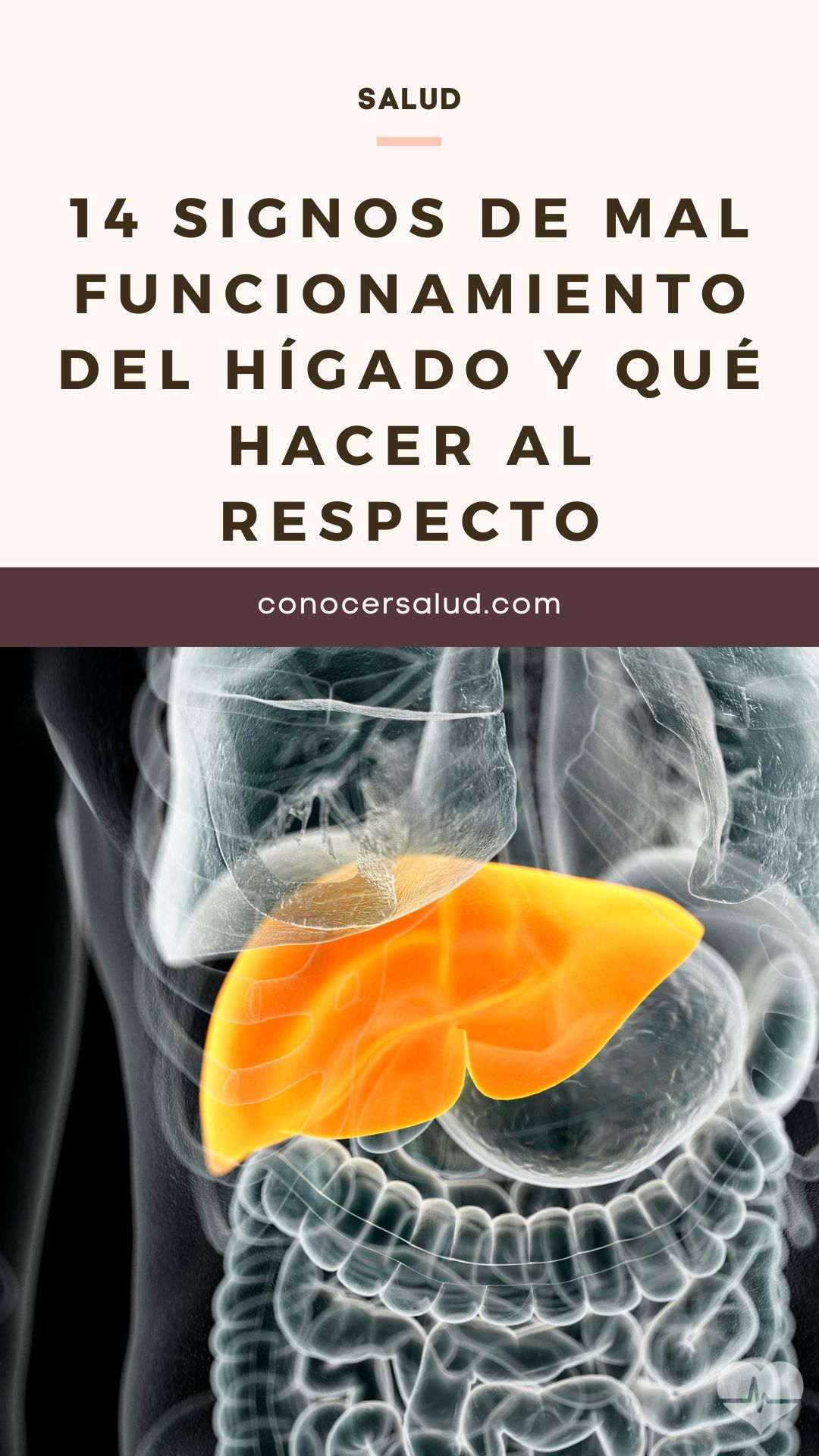 14 signos de mal funcionamiento del hígado y qué hacer al respecto