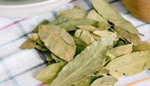 Hojas de laurel en la nevera y otros trucos para aprovechar las maravillas de esta planta