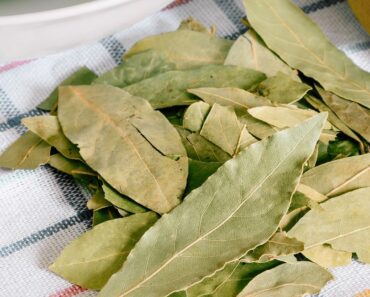 Hojas de laurel en la nevera y otros trucos para aprovechar las maravillas de esta planta