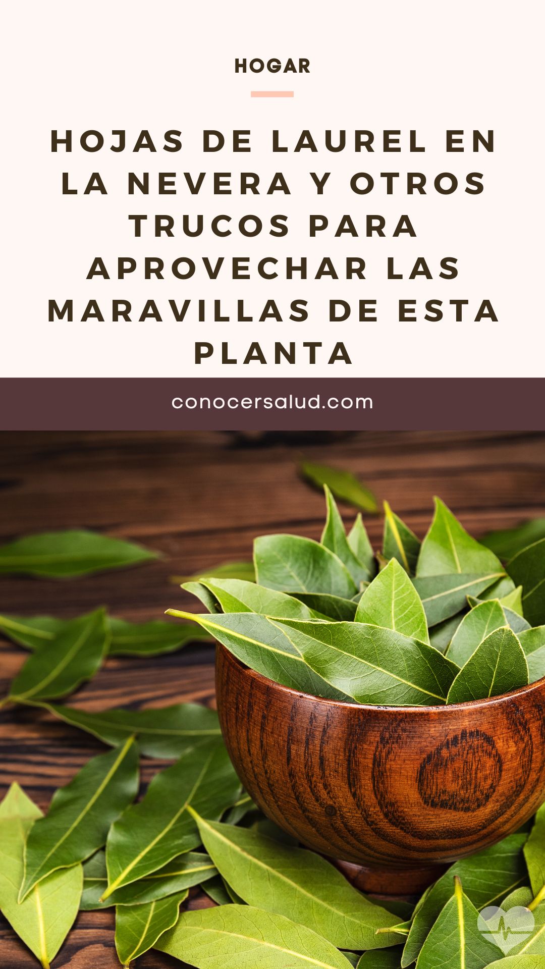 Hojas de laurel en la nevera y otros trucos para aprovechar las maravillas de esta planta