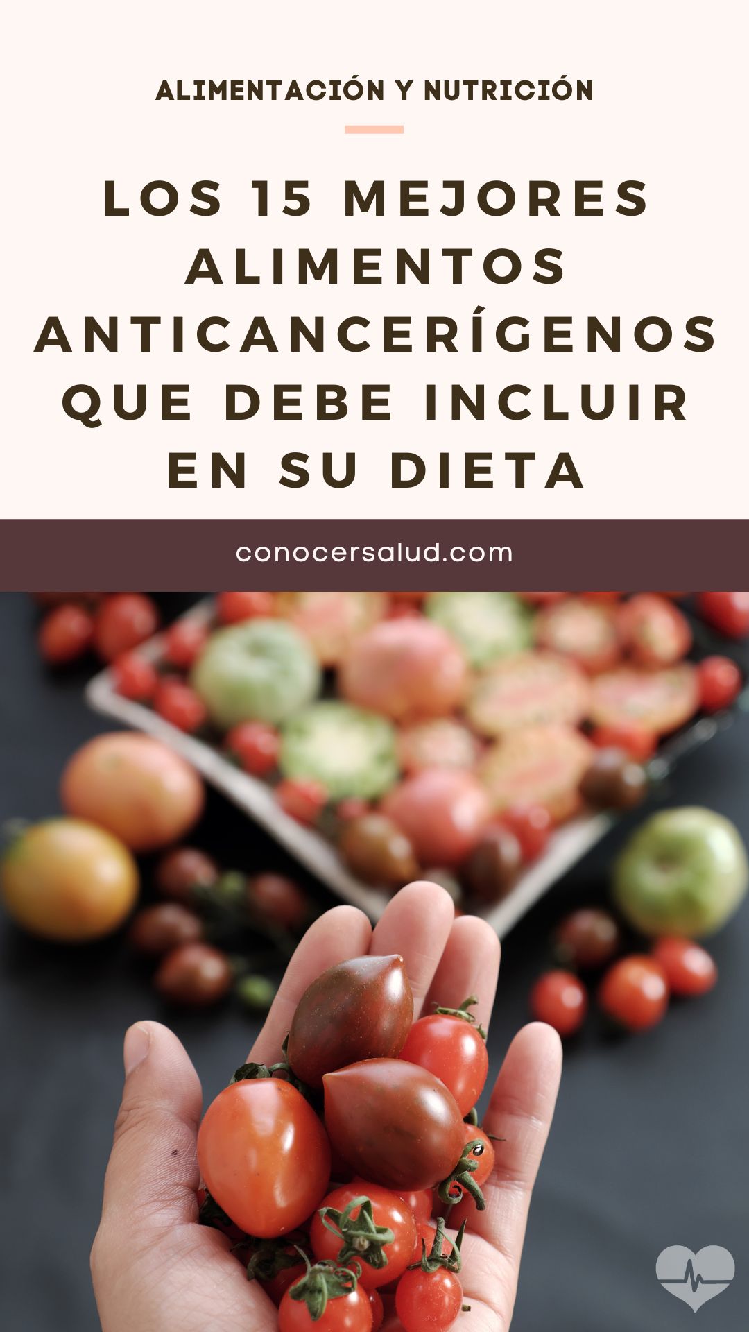 Los 15 mejores alimentos anticancerígenos que debe incluir en su dieta