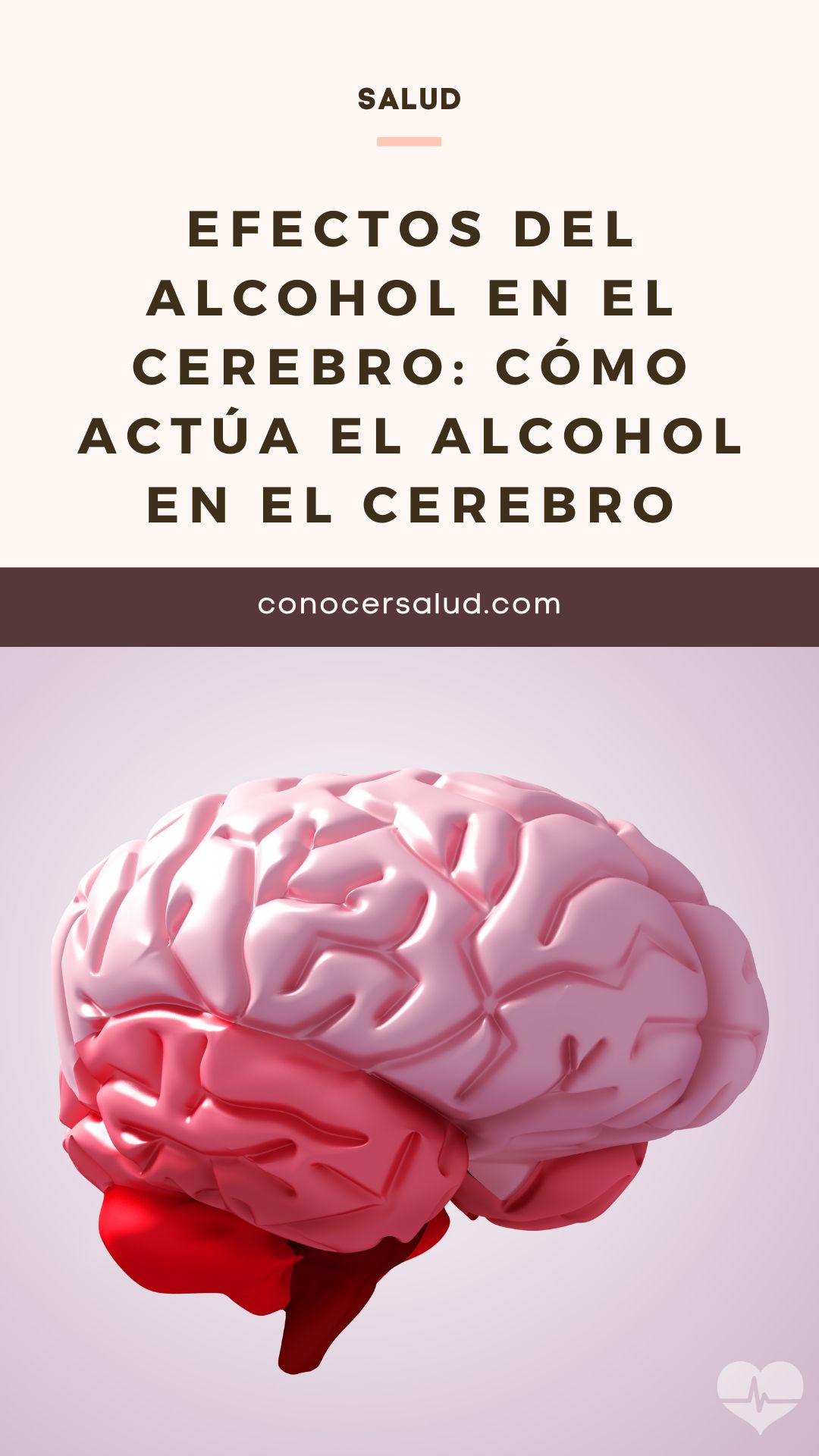 Efectos del alcohol en el cerebro: cómo actúa el alcohol en el cerebro