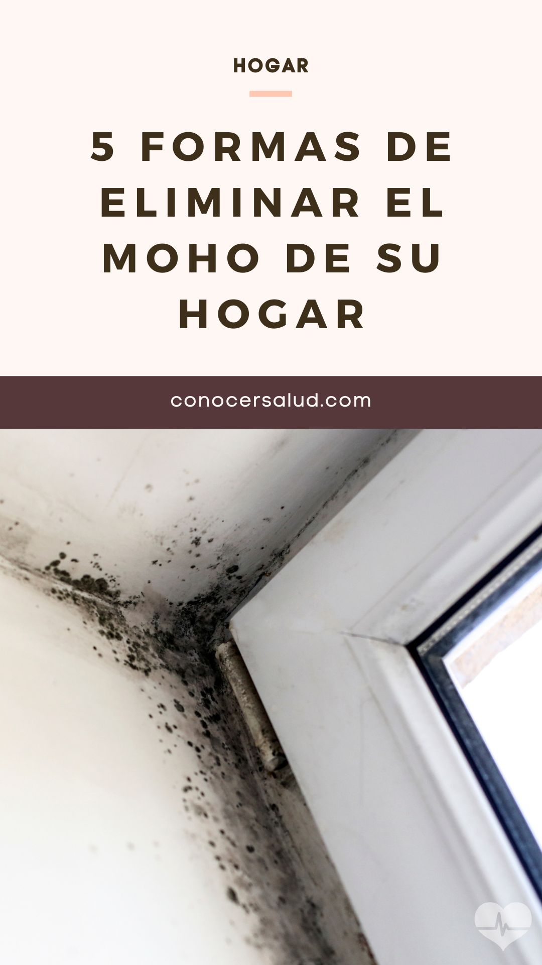 5 formas de eliminar el moho de su hogar