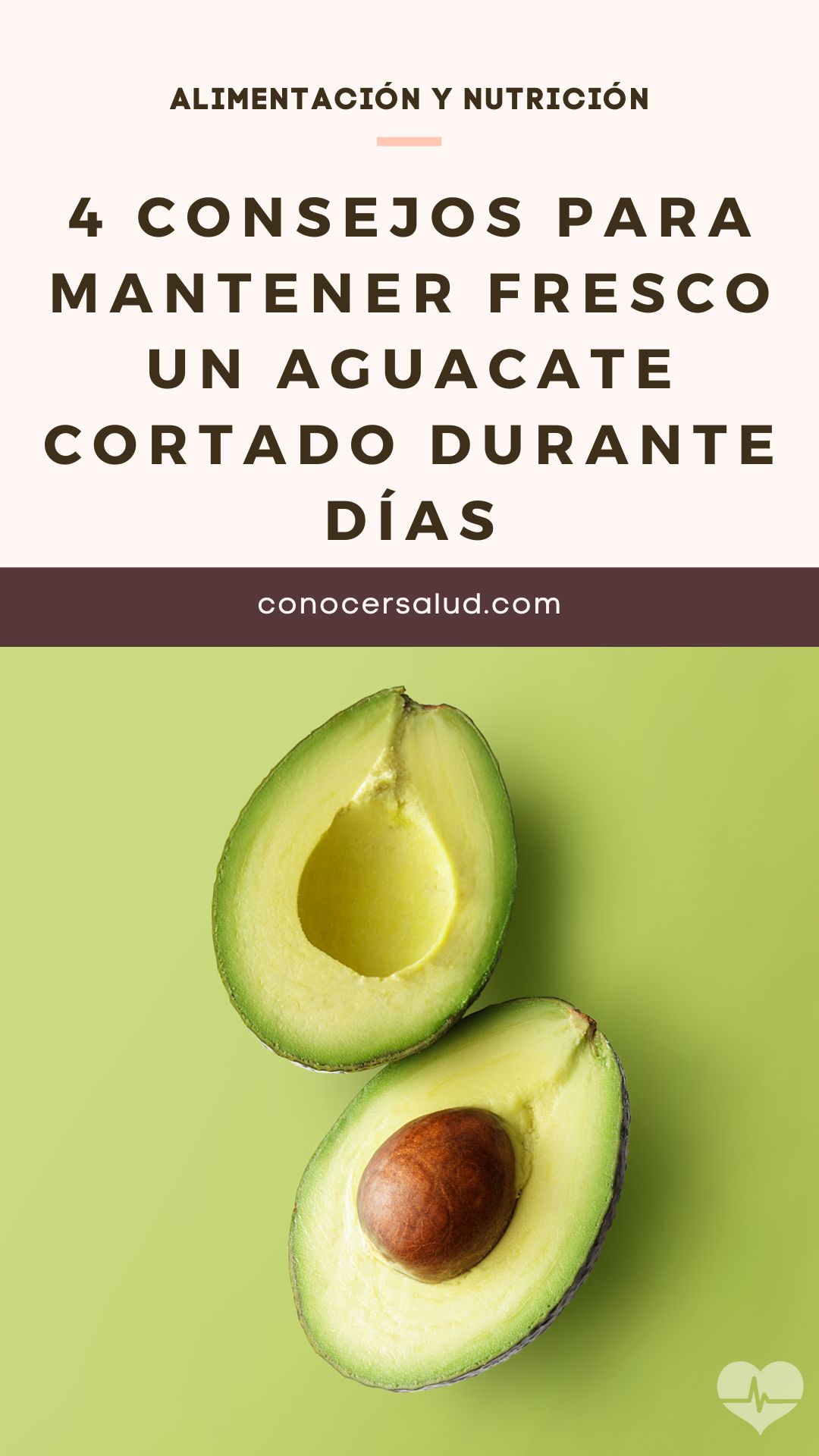 4 consejos para mantener fresco un aguacate cortado durante días